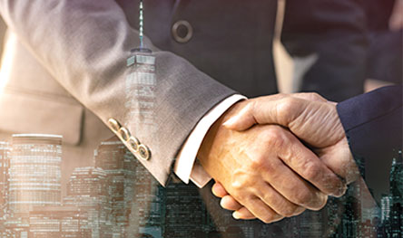Project quality consultant